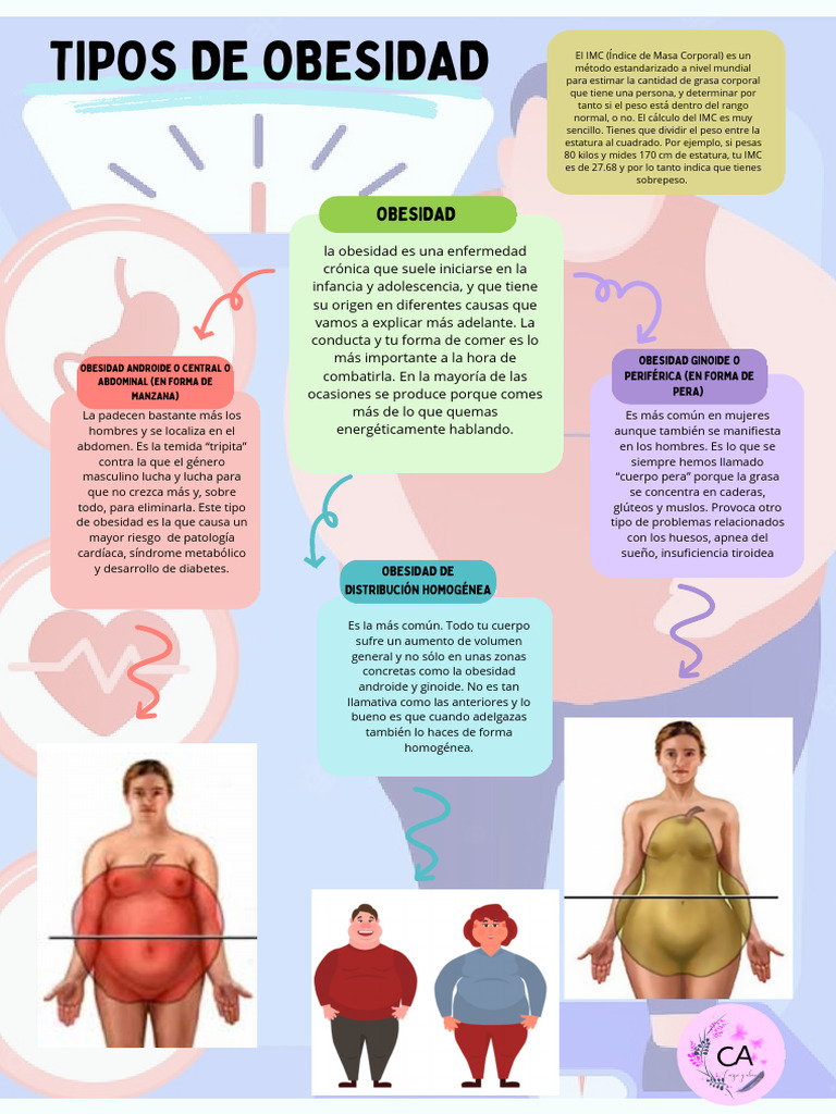 Tipos de Obesidad: Ginoide, Androide y Más | PDF | Obesidad | Índice de ...