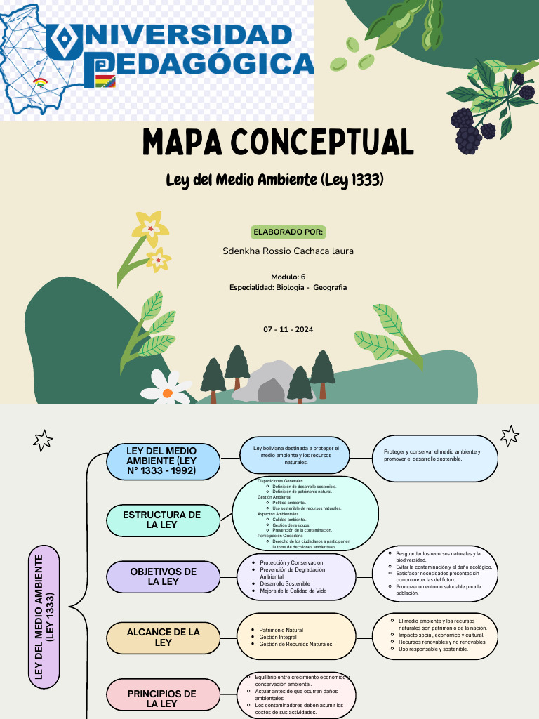 Ley 1333: Estructura y Objetivos Ambientales | PDF | Sustentabilidad ...