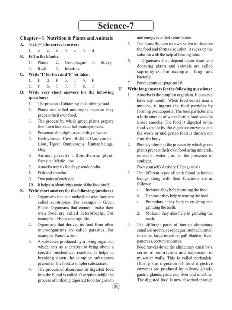 Science Class 7 Key | PDF