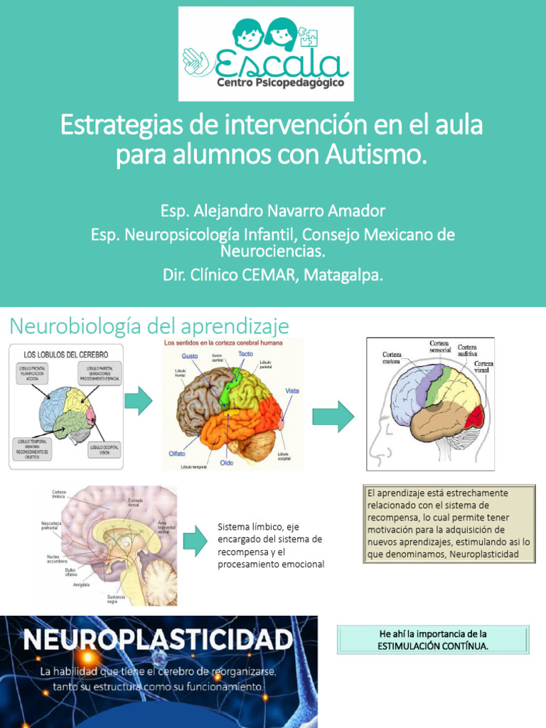 Estrategias para Alumnos con Autismo | PDF | Autismo | Aprendizaje