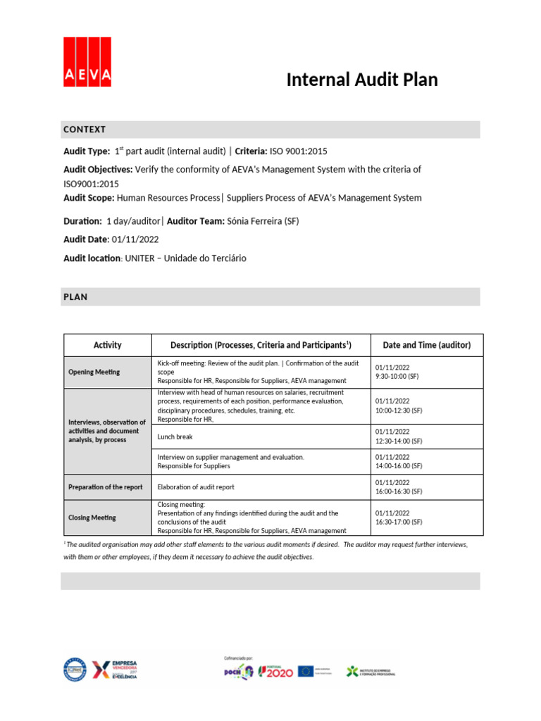 Template For Audit Plan - Use Case AEVA | PDF | Audit | Business