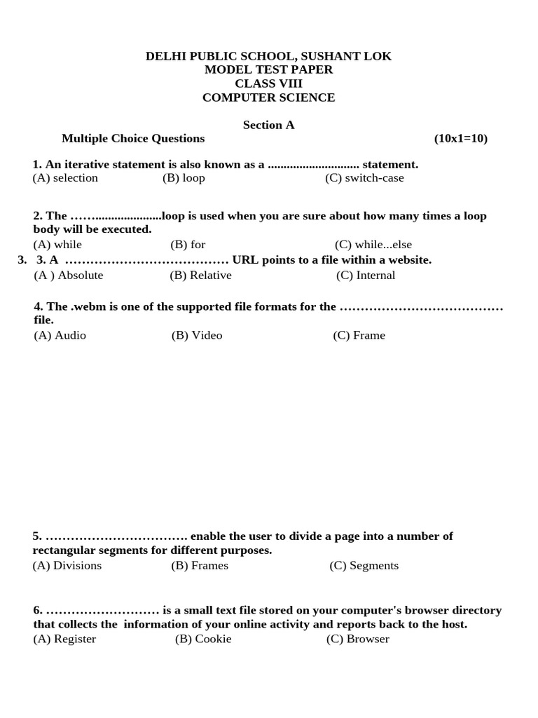 Class VIII Model Test Paper 2025 | PDF | Control Flow | Computer File