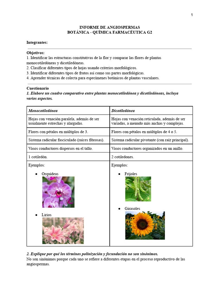 Estructuras y Reproducción de Angiospermas | PDF | Flores | Hoja