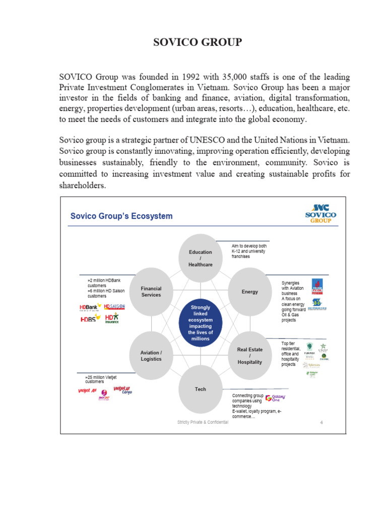 Overview of Sovico Group's Ventures | PDF | Economies