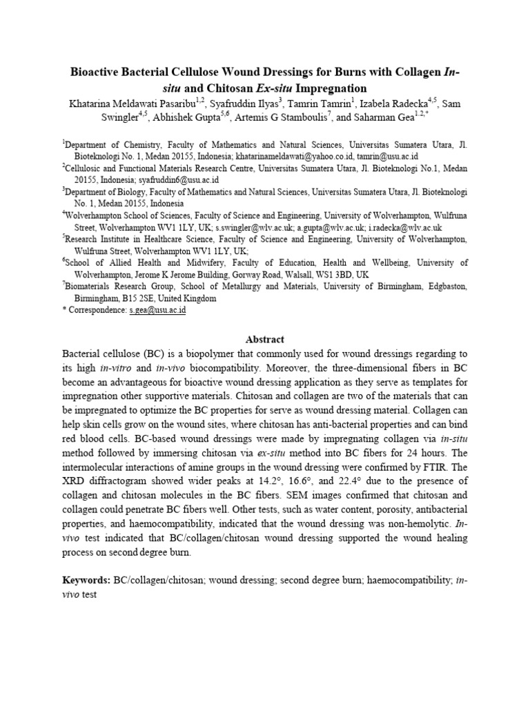 Bioactive BC Wound Dressings for Burns | PDF | Wound Healing | Healing