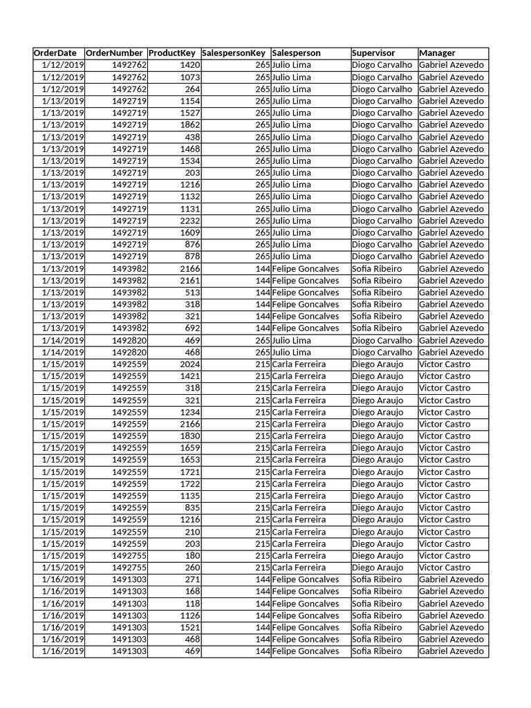 Sales Order Data January 2019 | PDF