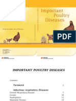 Important Poultry Diseases 060058