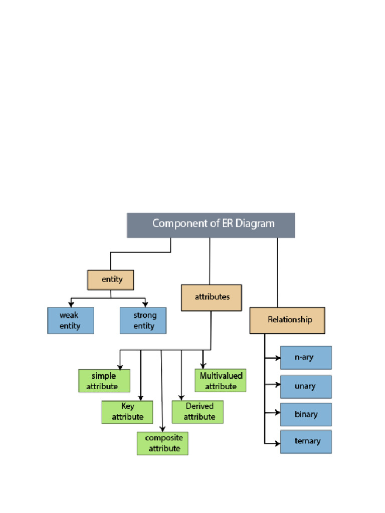 Data Model Er Diagram Components Of Er Diagram