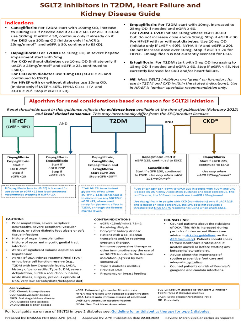 SGLT2 Inhibitors Guide for T2DM and CKD | PDF | Chronic Kidney Disease ...