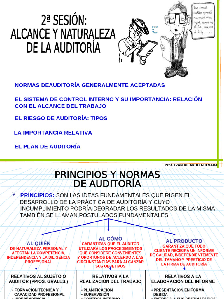 Normas de Auditoría y Control Interno | PDF | Contralor | Auditoría