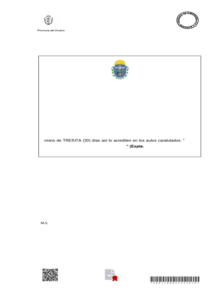 Edicto de Sucesión en Chubut | PDF