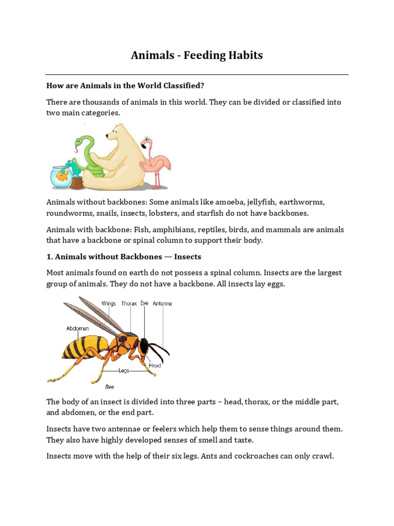 Insect Feeding Habits and Classification | PDF | Amphibian | Egg