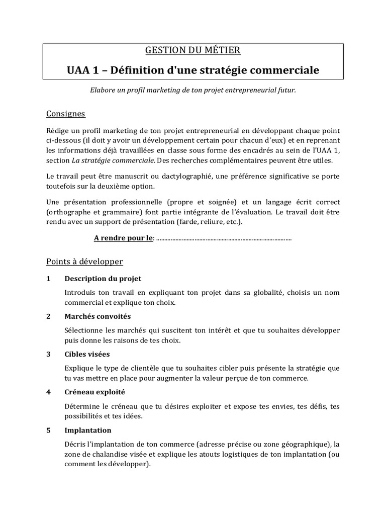 Stratégie Commerciale pour Projet Entrepreneurial | PDF | Stratégie ...