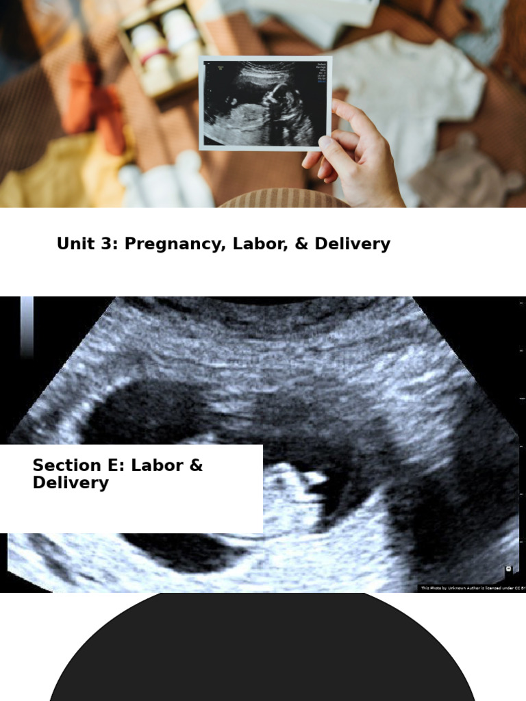 Unit+3+ +Section+E+PPT | PDF | Childbirth | Pregnancy