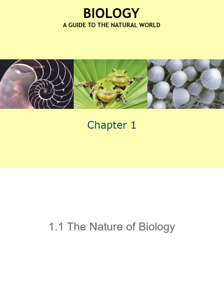 Intro to Biology Basics | PDF | Cell (Biology) | Life