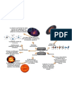 Tierra Primitiva Mapa Mental BioloGia 2