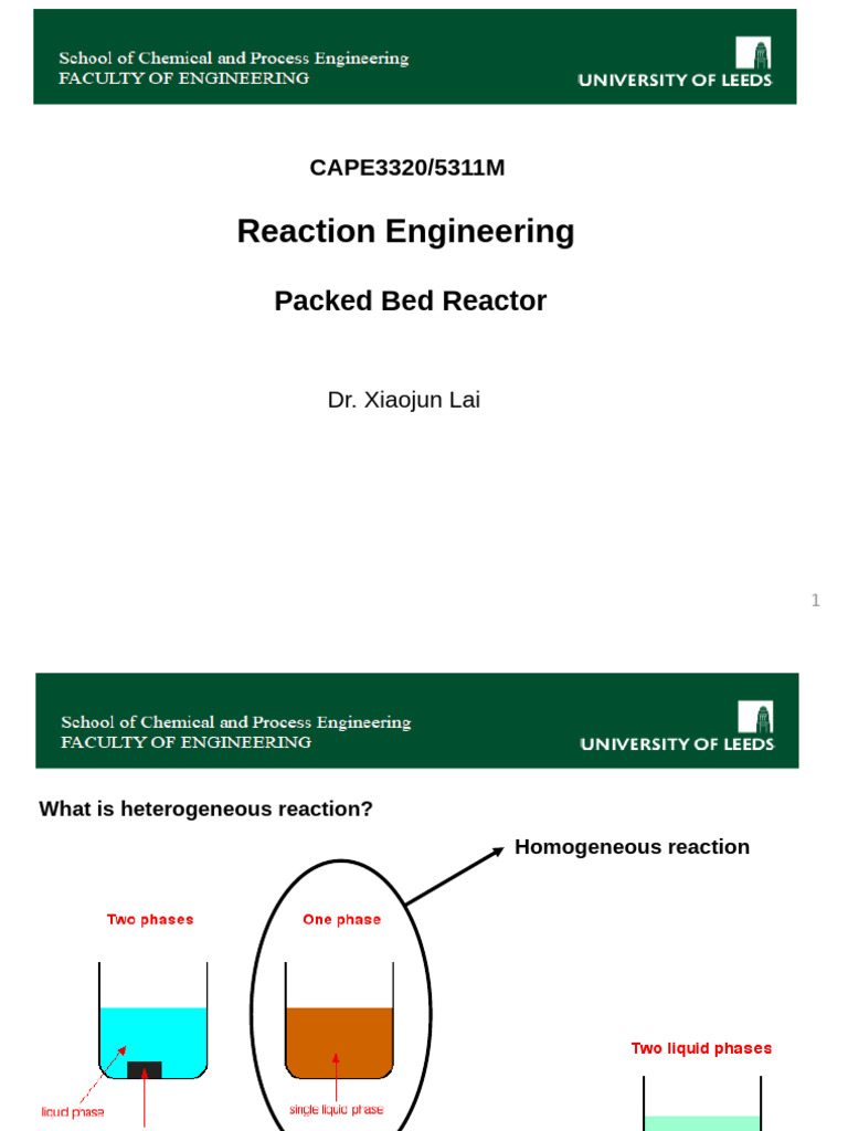 3320 V13 Packed Bed Reactor II | PDF | Chemical Reactor | Catalysis