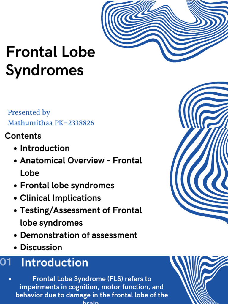 Understanding Frontal Lobe Syndromes | PDF | Frontal Lobe ...