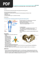 Anatomía de la Columna Sacra y Lumbar | PDF | La columna vertebral ...