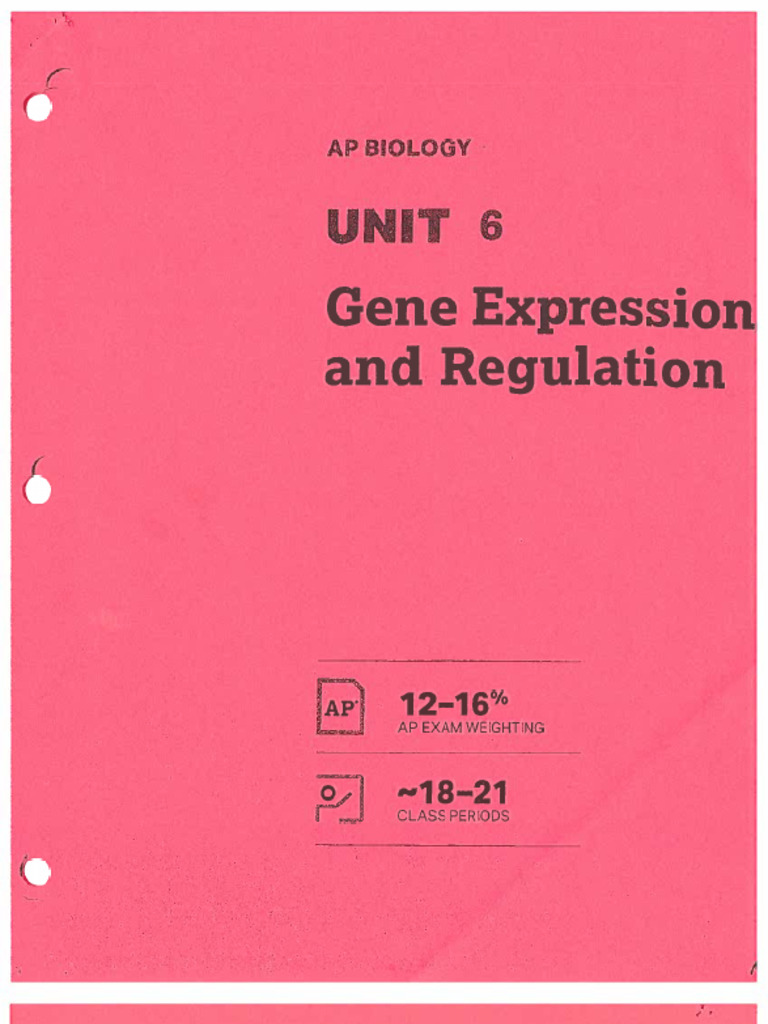 Gene Expression and Regulation Overview | PDF | Gene | Gene Expression