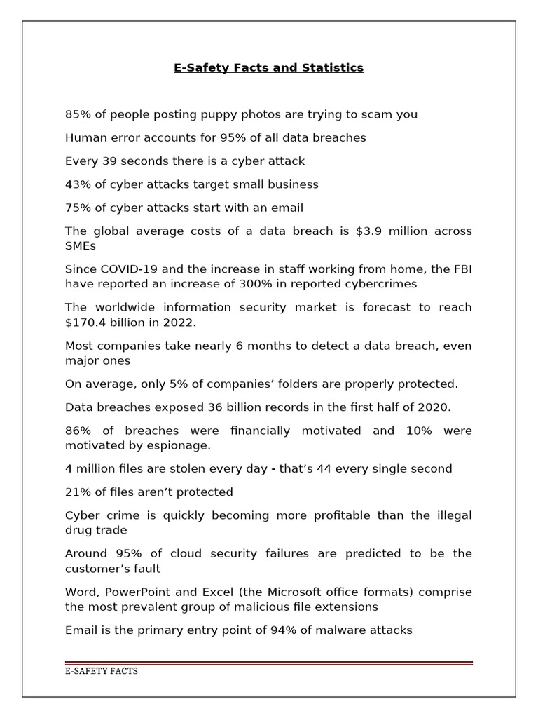 E-SAFETY Facts | PDF