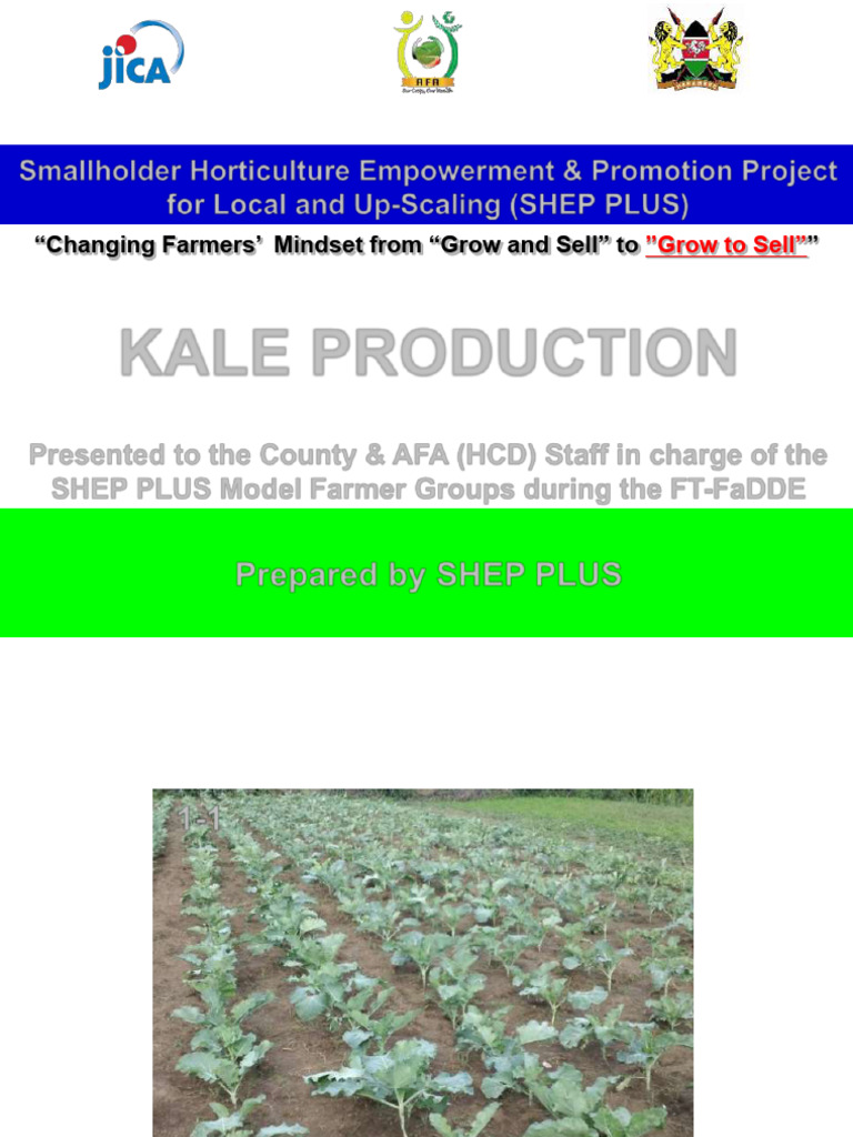 Kale Production Guide for Smallholders | PDF | Plant Nursery | Compost