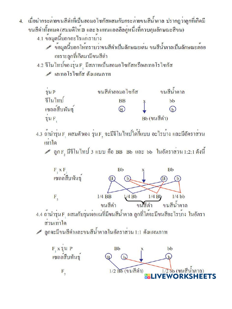 Worksheet 7145574 | PDF