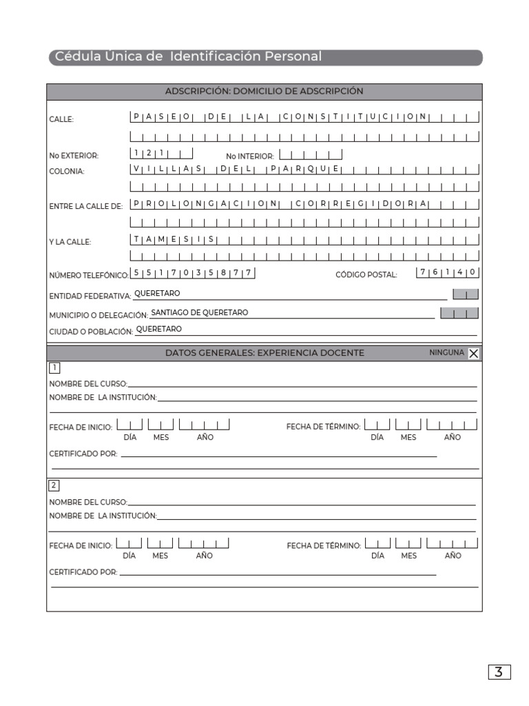 Datos de Adscripción y Cursos | PDF