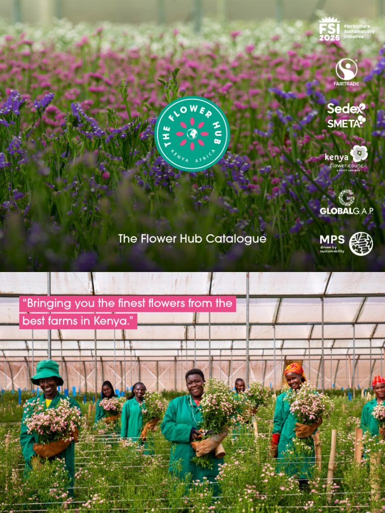 The Flower Hub: Kenya's Finest Flowers | PDF | Supply Chain ...