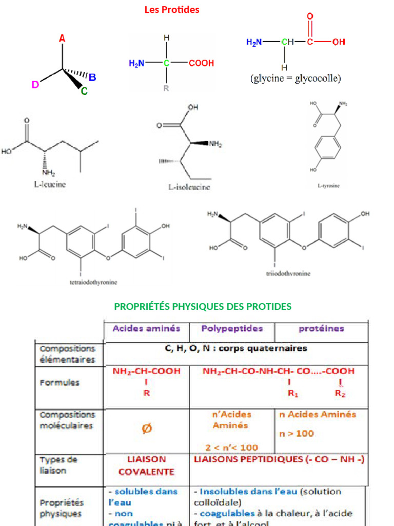 Réactions chimiques des protides | PDF