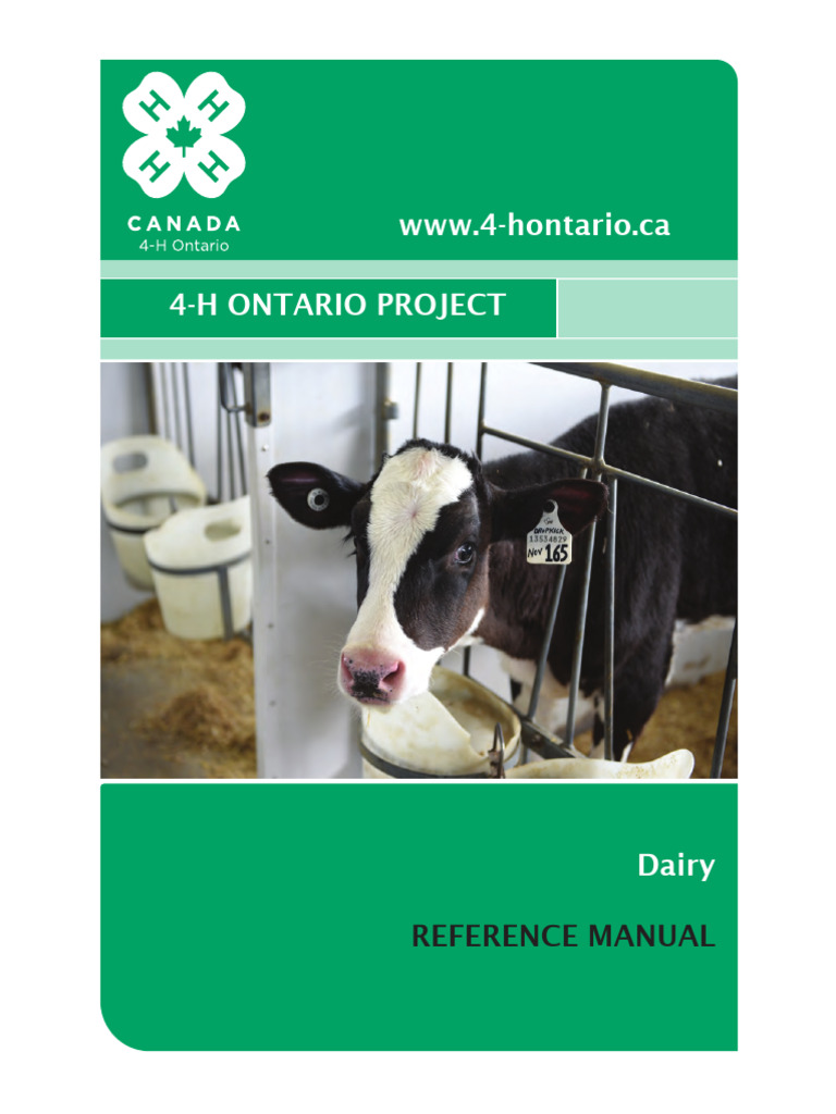 4-H Dairy Project Reference Manual | PDF | Dairy Cattle | Cattle