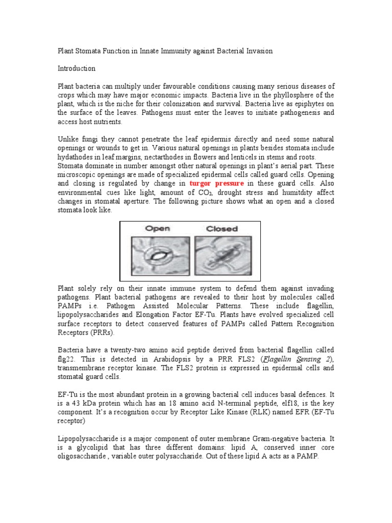 Innate immunity types image