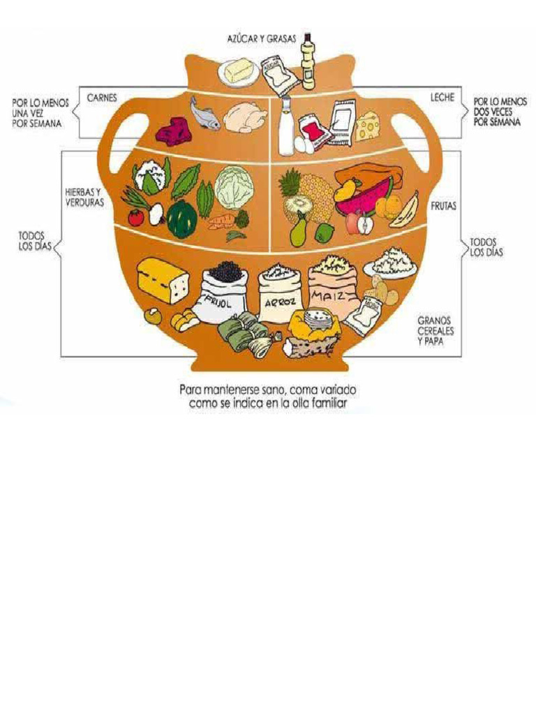 Olla alimenticia pdf