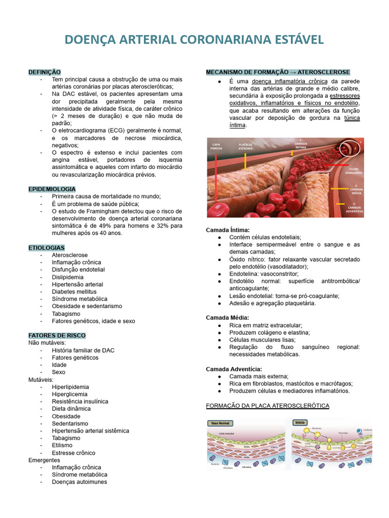 Doença Arterial Coronariana Estável: Causas e Sintomas | PDF | Doença ...