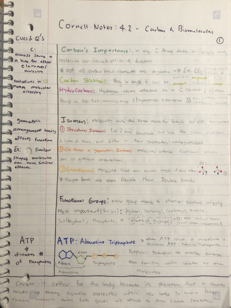 Cornell Notes - 4.2 | PDF