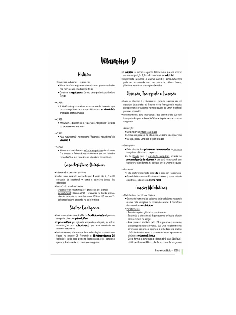 Como Absorver Vitamina D Naturalmente