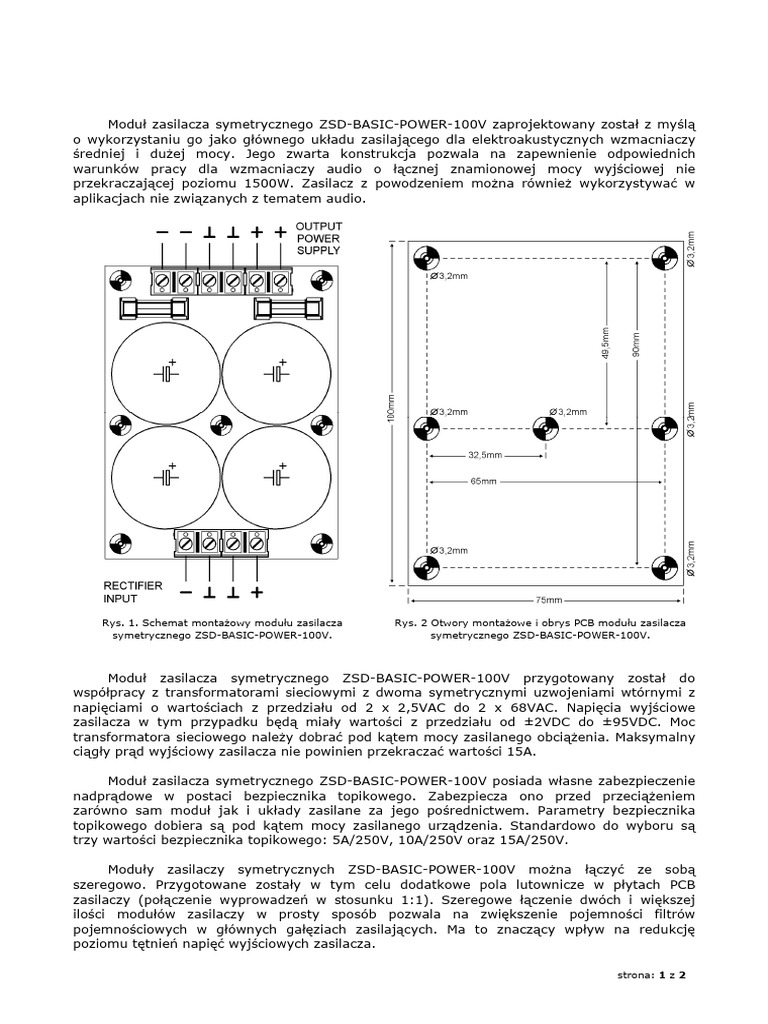 Manual ZSD Basic Power 100v | PDF