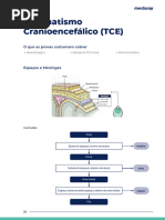 Protocolo de Atendimento a TCE 2025 | PDF | Traumatismo craniano ...