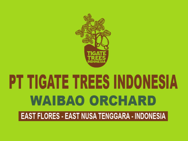 PT Tigate Trees: Blok AA Overview | PDF