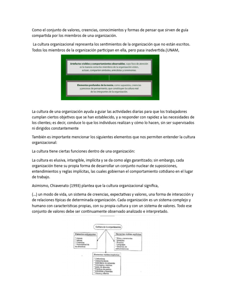 Elementos Clave de la Cultura Organizacional | PDF | Comportamiento ...