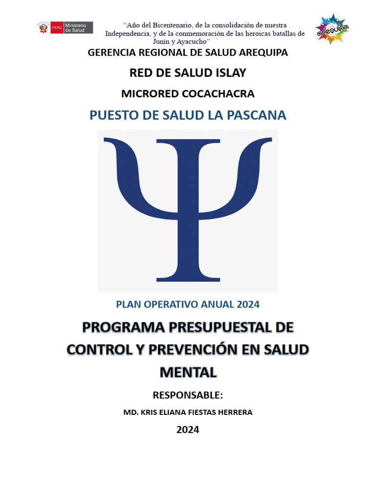 Plan Operativo Salud Mental 2024 Arequipa | PDF | Salud mental ...