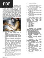 Download KUMPULAN OSCA CYNTYA by Cyntya Sari Sovianti SN83038592 doc pdf