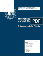 Ureteral Stones Ptguide