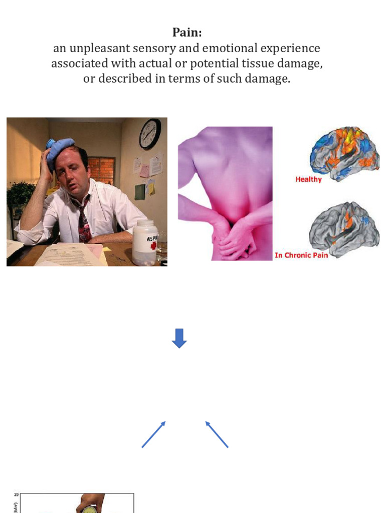 Understanding Pain: Types and Pathways | PDF | Pain | Stimulus (Physiology)