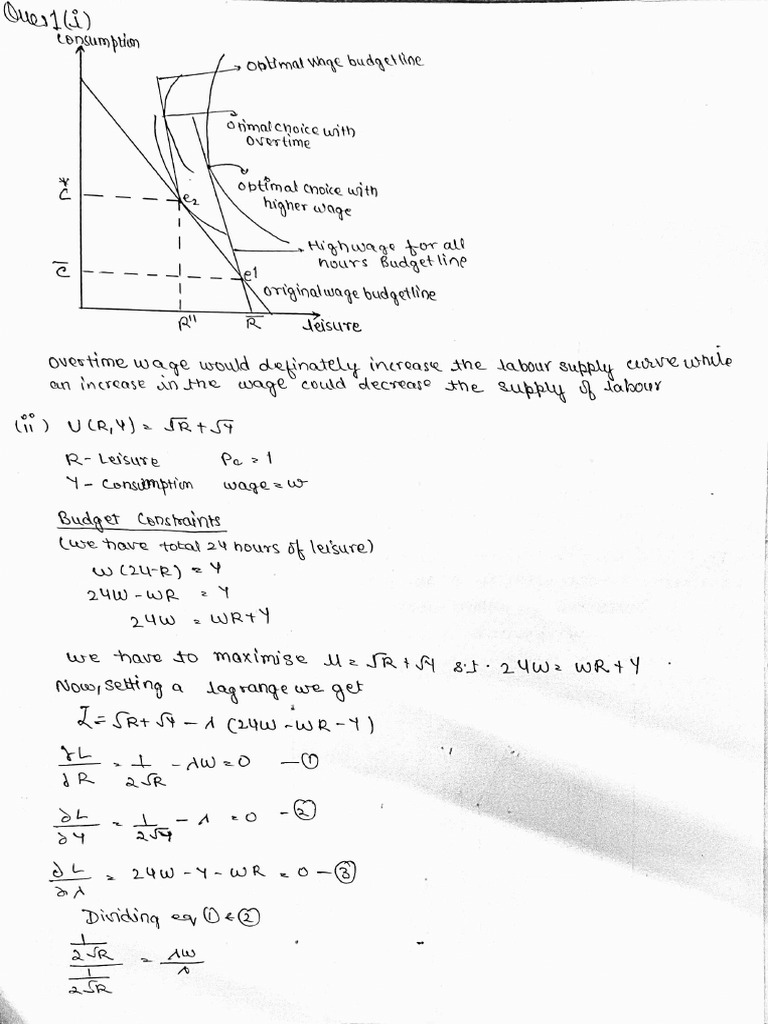Micro Improvement Assignment | PDF