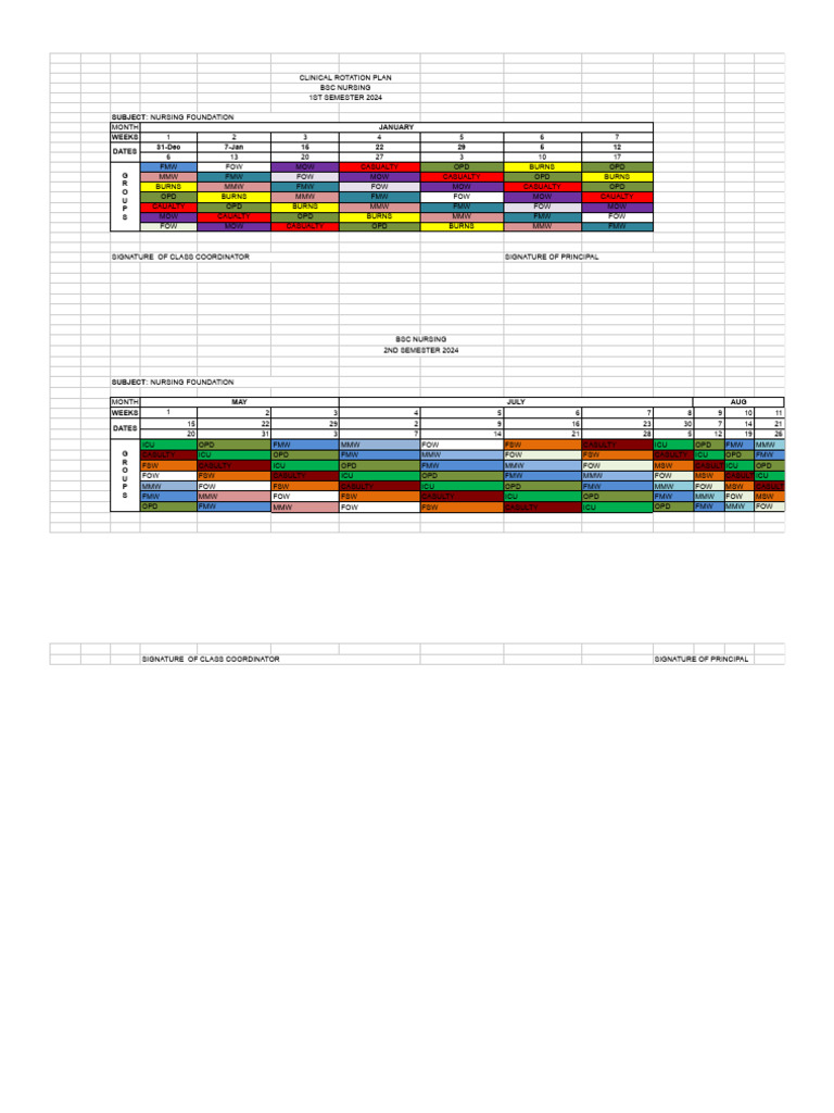 B.Sc Nursing 1st Year Clinical Rotation Plan | PDF | Nursing | Public ...