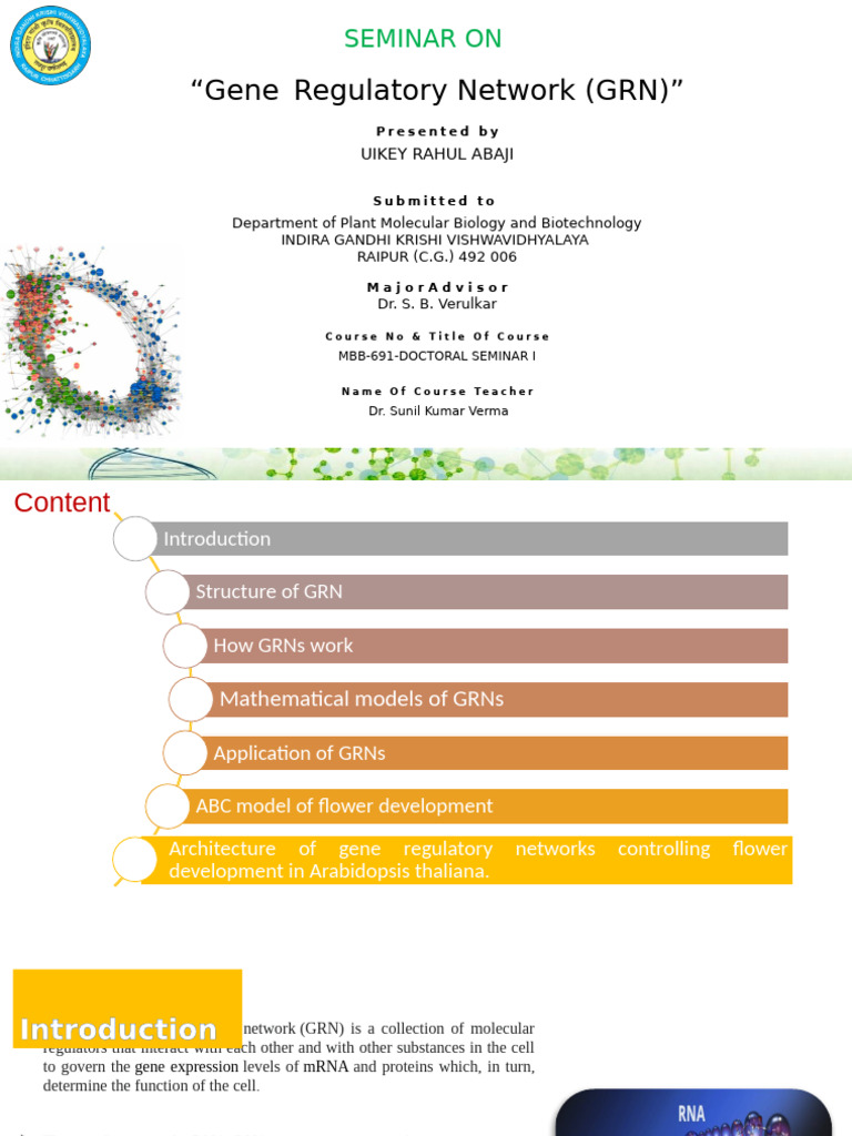 Gene Regulatory Networks in Flower Development | PDF | Gene Expression ...
