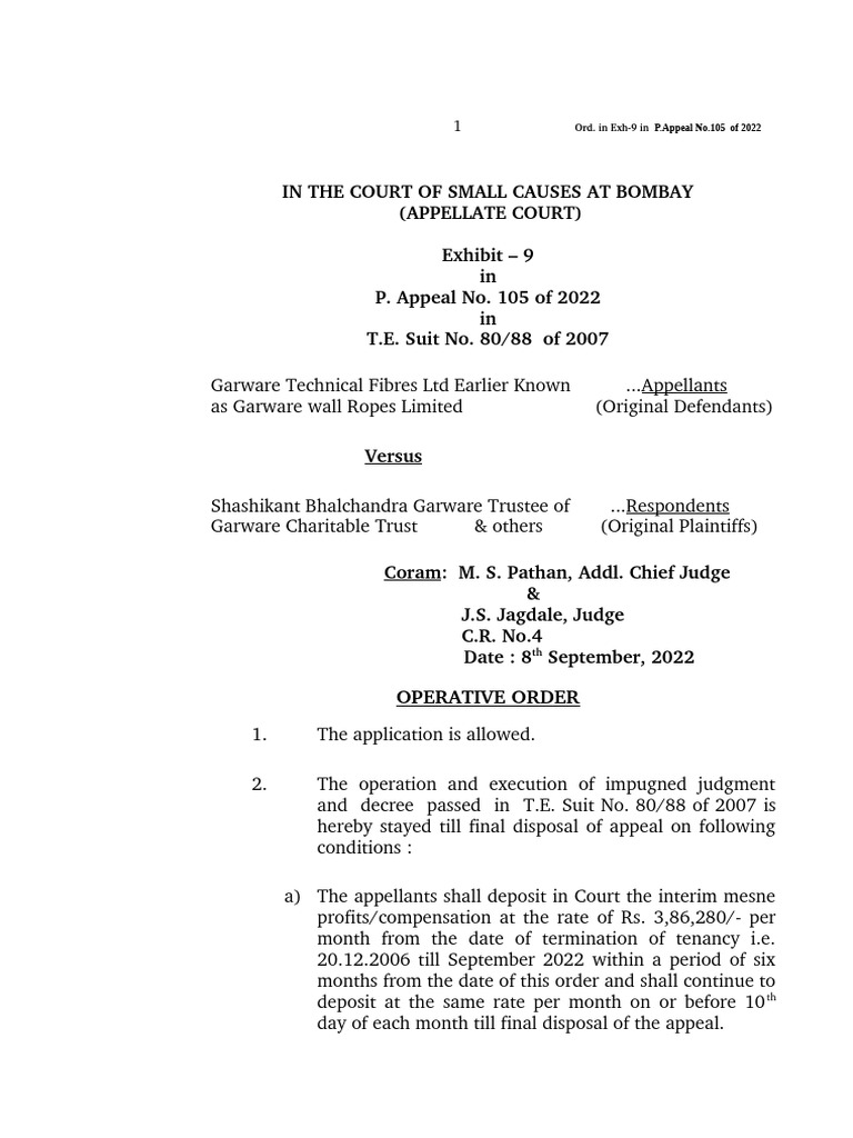 Stay Order in Garware Appeal Case | PDF | Separation Of Powers | Public Law
