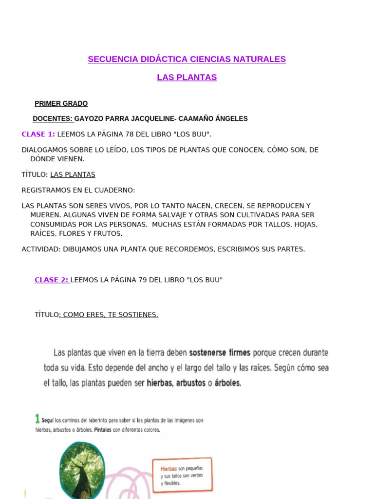 Secuencia Didáctica: Plantas 1er Grado | PDF