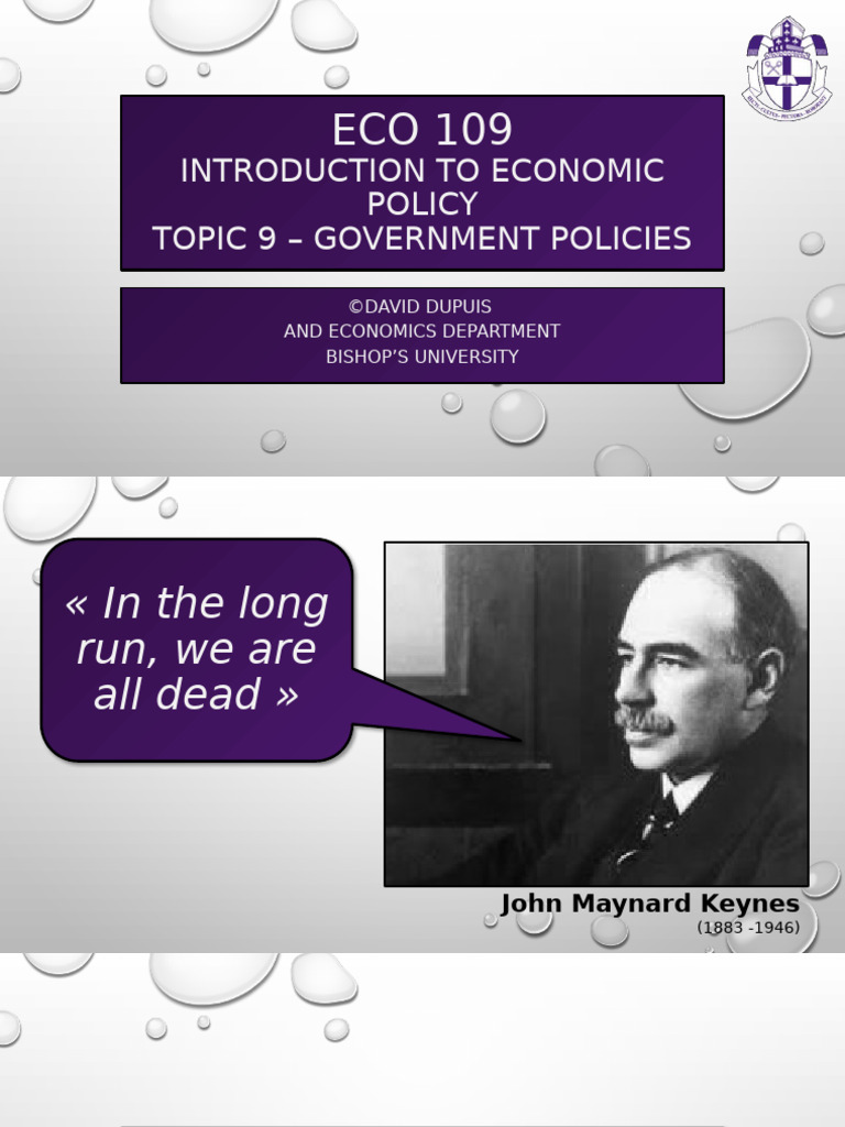 Government Macroeconomic Policies Overview | PDF | Fiscal Policy | Taxes